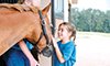 storybook farm horses