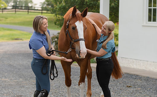 Equine Gastric Ulcer Syndrome