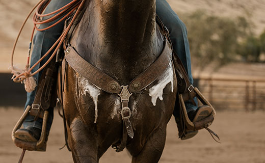 Show Jumping Phenom Karen Polle